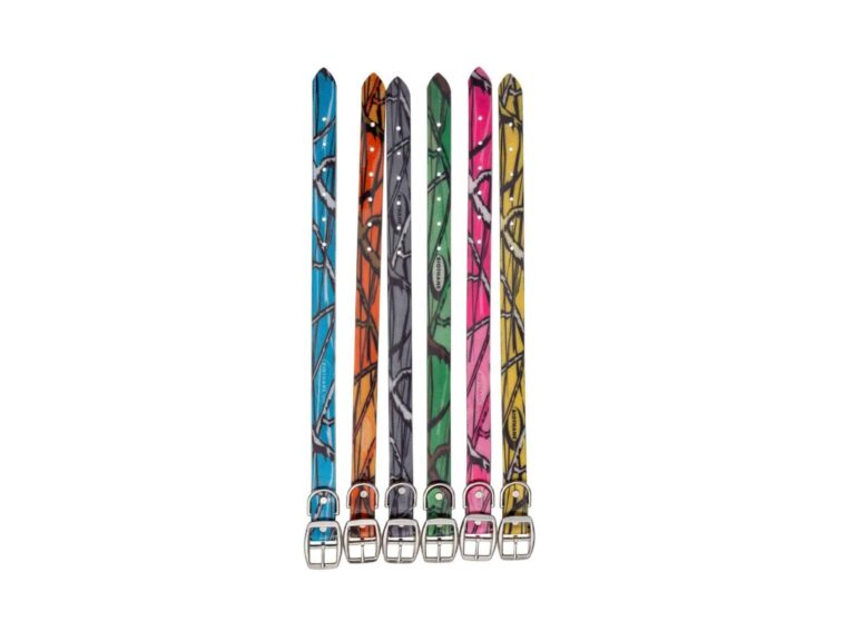 3-4 collar biothane leashes and leads