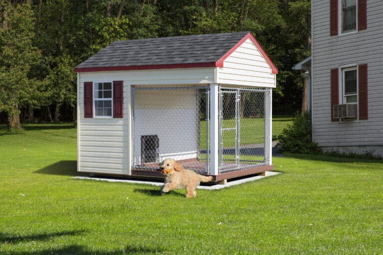 8x10 dog kennel for sale