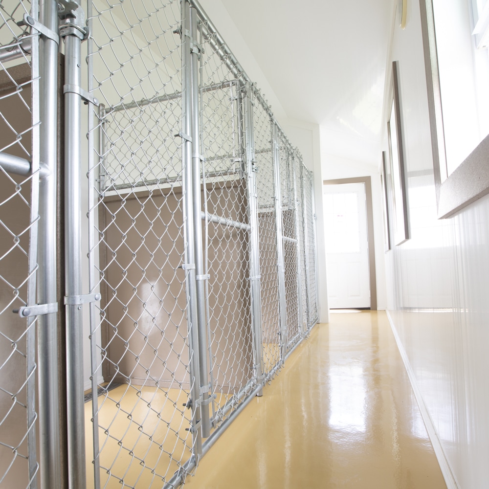 Chainlink Kennel Fencing Keep Your Pet Protected