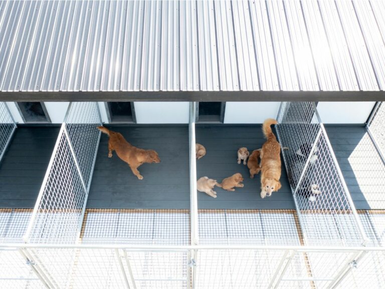 Dog Kennel Flooring