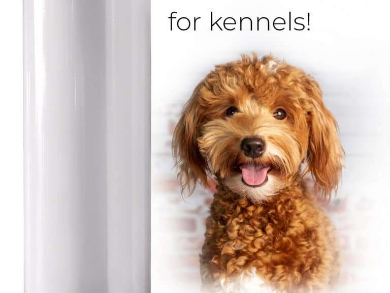 Glassboard, best interior for kennels