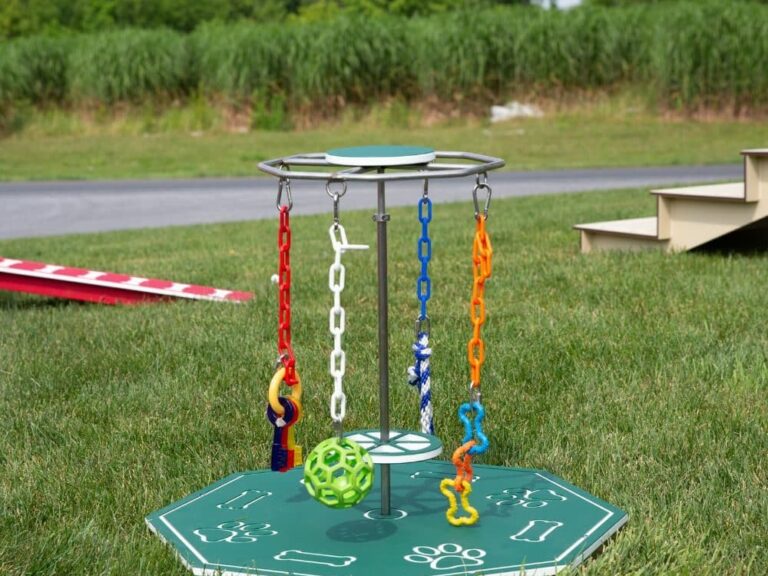 Outdoor toys for large dogs hotsell