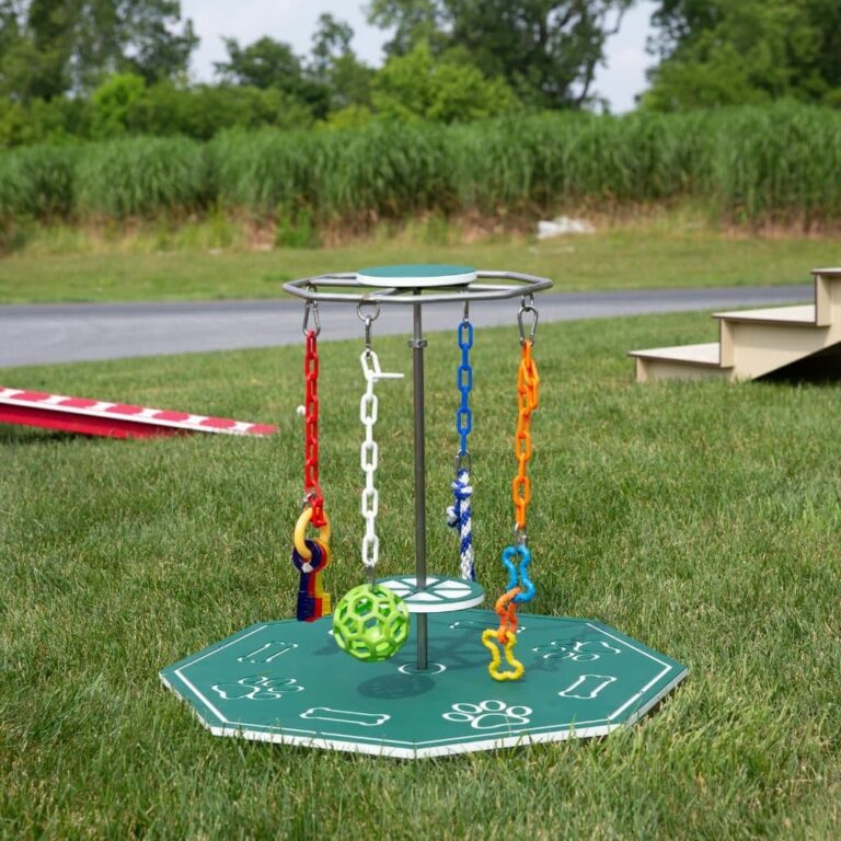 Dog Agility Equipment Enhance Playtime With Our Fidget Spinner